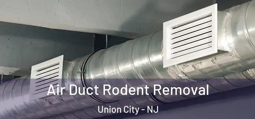  Air Duct Rodent Removal Union City - NJ