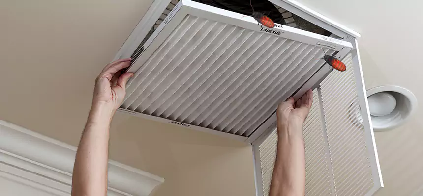 Our Insect Removal from Air Ducts Services in Union City, NJ