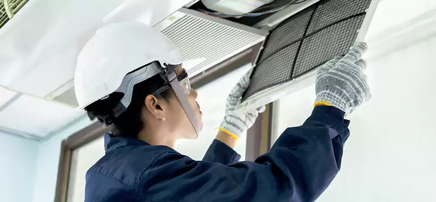 Our Mold & Mildew Removal from Air Ducts Services in Union City, NJ