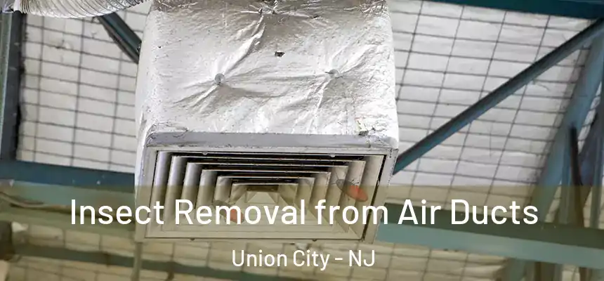  Insect Removal from Air Ducts Union City - NJ