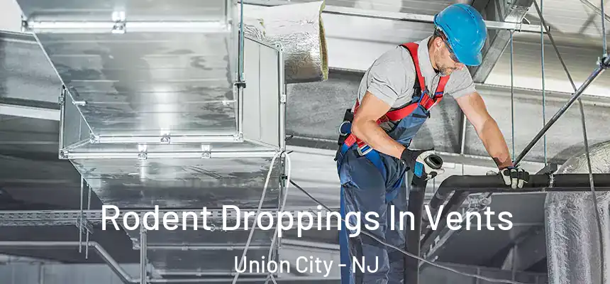  Rodent Droppings In Vents Union City - NJ