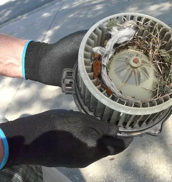 About Air Duct Rat Removal in Union City, NJ