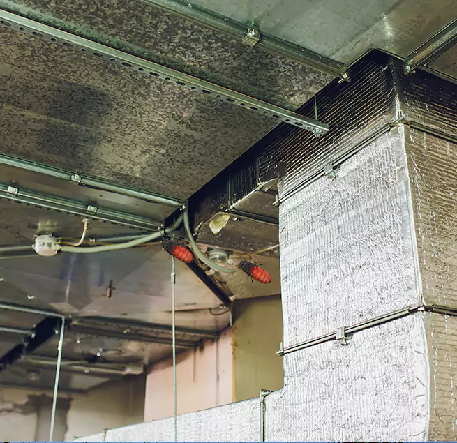 Why Homeowners & Businesses Trust Us in Union City, NJ?