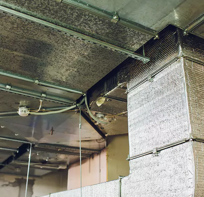 Why Homeowners & Businesses Trust Us in Union City, NJ?